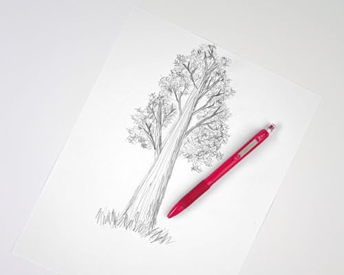 Zebra Pen Z-Grip Retractable Ballpoint Pen