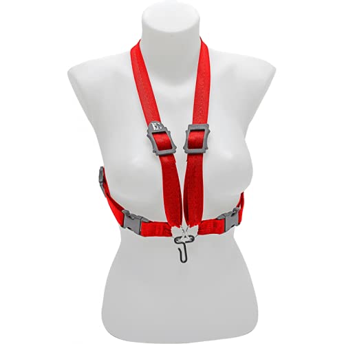 BG FRANCE 0 String Acoustic Guitar, Black (S449M)