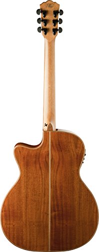 Washburn Comfort Series WCG55CE Aco