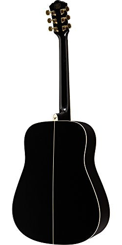Washburn WD100DL Apprentice Dreadnought Acoustic Guitar
