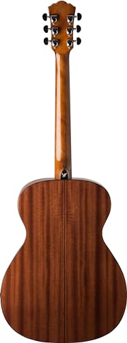 Washburn Apprentice F5 with Case, Acoustic Guitar