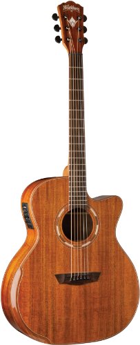 Washburn Comfort Series WCG55CE Aco