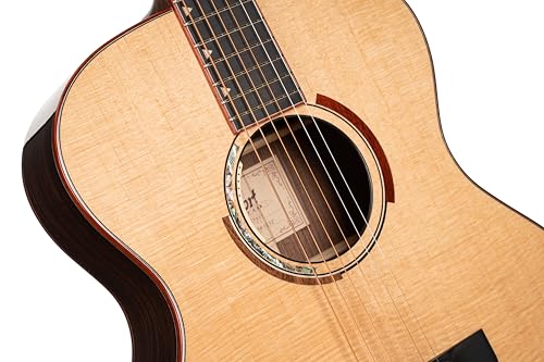 Cort Masterpiece Series Abstract Delta A/E Guitar With Case