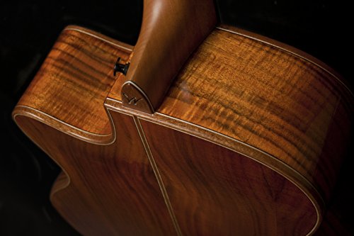 Washburn Comfort Series WCG55CE Aco