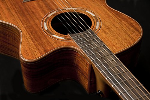 Washburn Comfort Series WCG55CE Aco