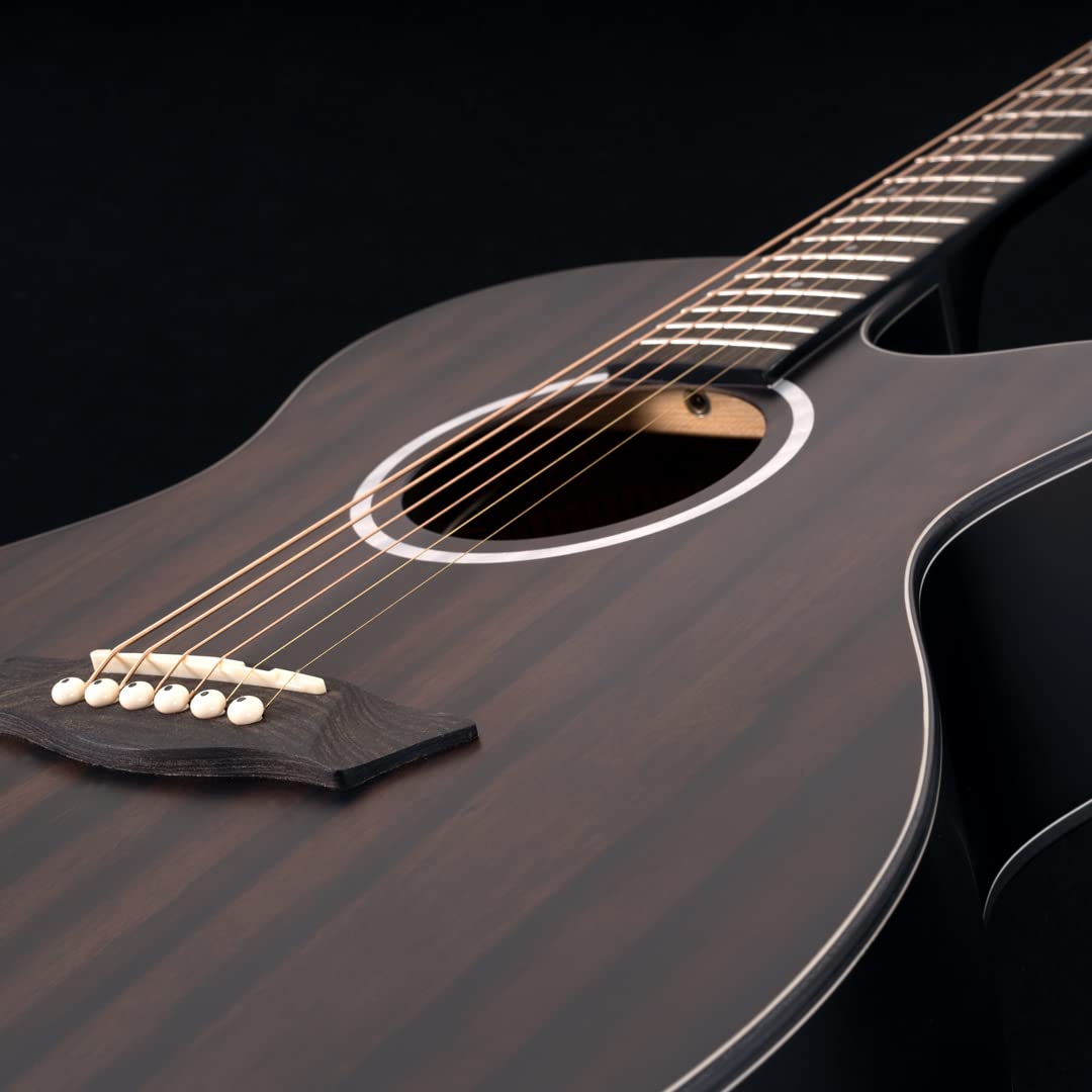 Washburn Electro Acoustic 6 String Guitar, Right, Striped Ebony (DFEACE)