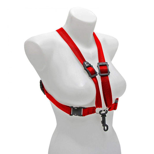 BG FRANCE 0 String Acoustic Guitar, Ambidextrous, Red (S449SH)