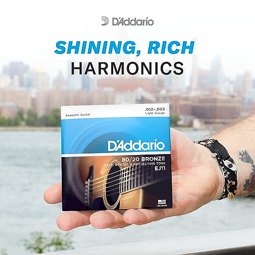 D'Addario EJ10 Bronze Acoustic Guitar Strings