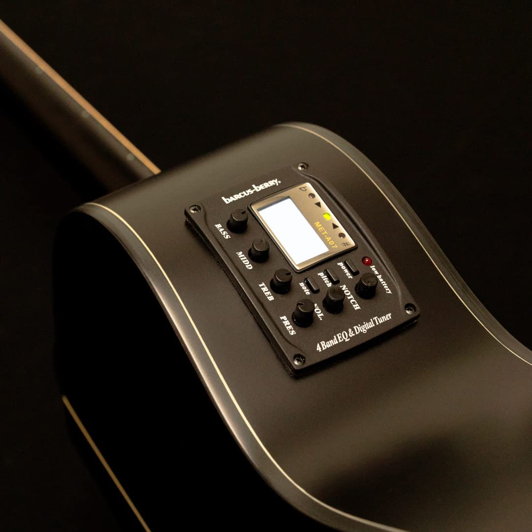 Washburn Electro Acoustic 6 String Guitar, Right, Striped Ebony (DFEACE)