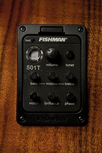 Washburn Comfort Series WCG55CE Aco
