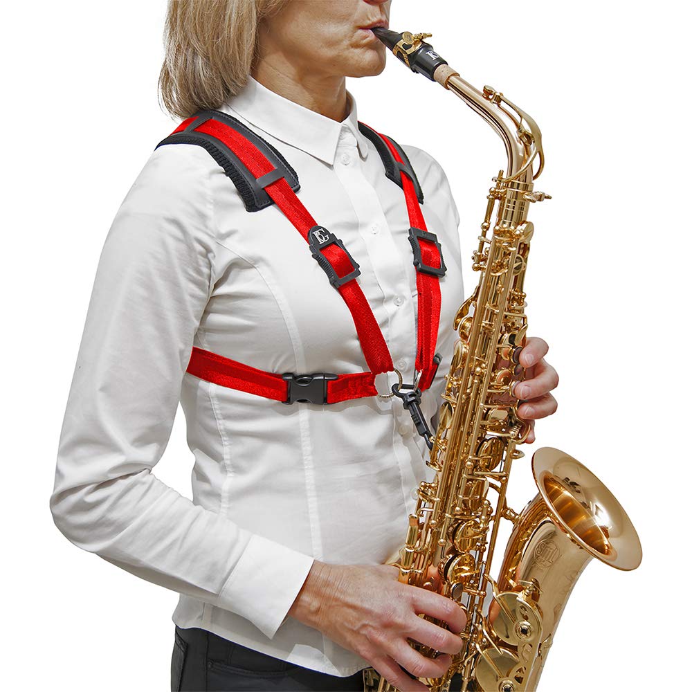 BG(0002698761) Alto Horn, (S449CSH)