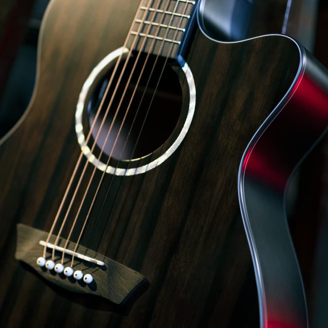 Washburn Electro Acoustic 6 String Guitar, Right, Striped Ebony (DFEACE)