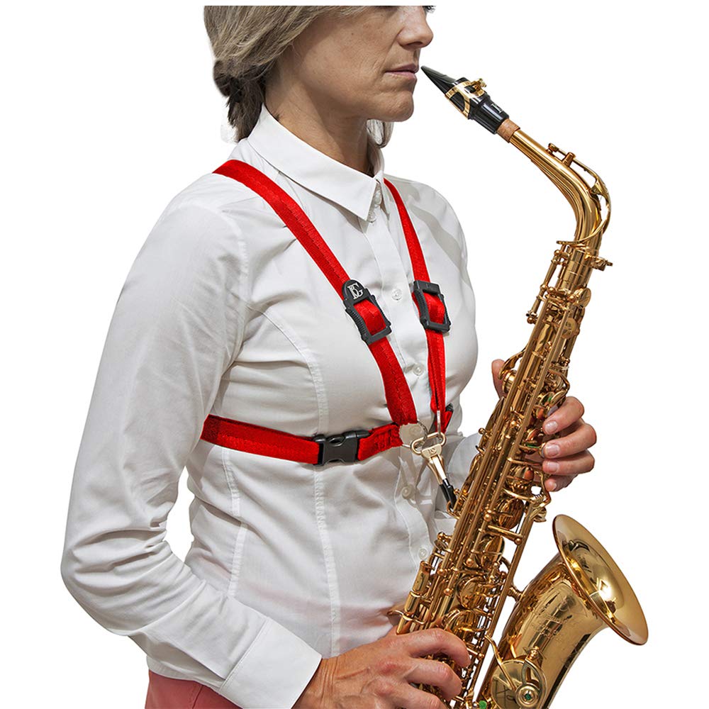 BG(0002698761) Alto Horn, (S419MSH)