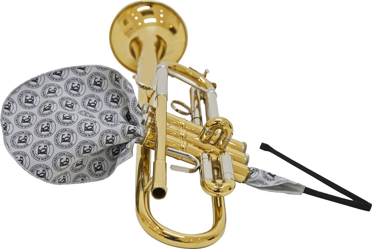 BG(0002698761) Accordion Accessory (A31T1)