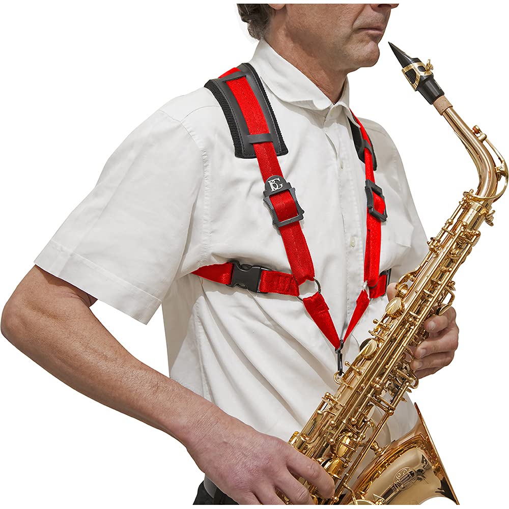 BG(0002698761) Alto Horn, (S439CM)