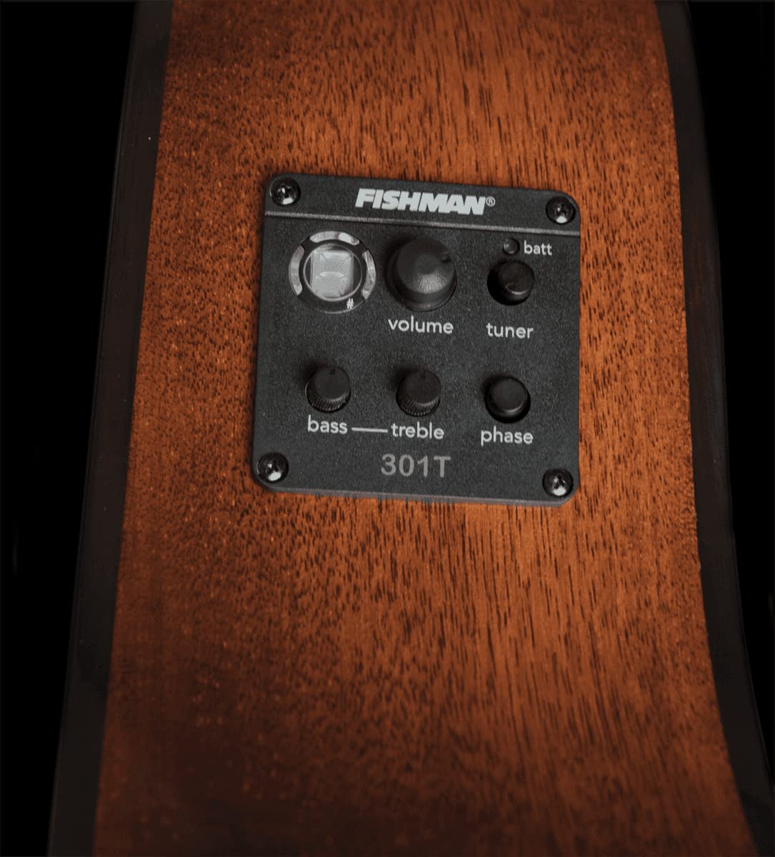 Washburn Woodline 10 Series 6 String Acoustic-Electric Guitar, Right, Natural (WLO12SE-O)