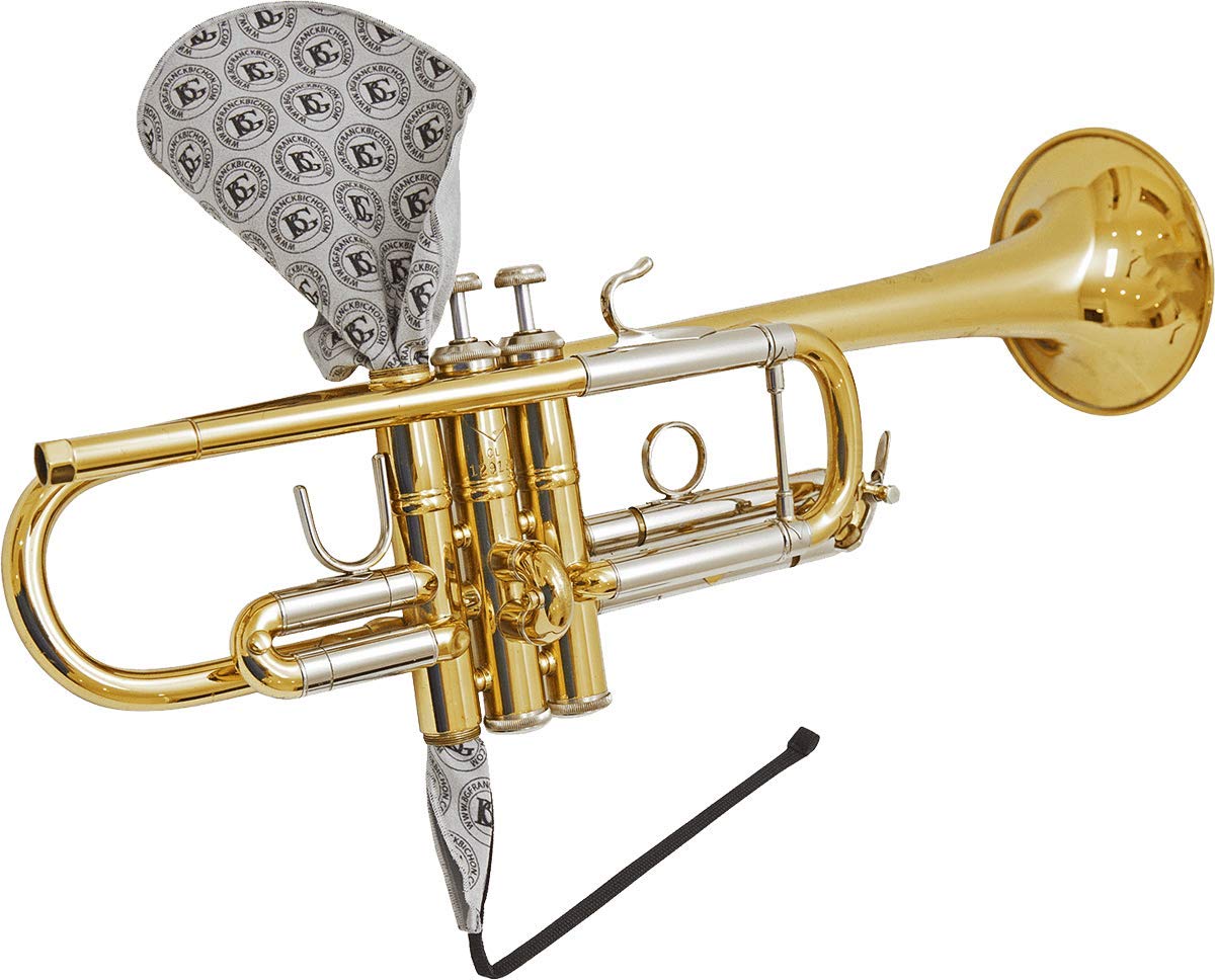 BG(0002698761) Accordion Accessory (A31T1)