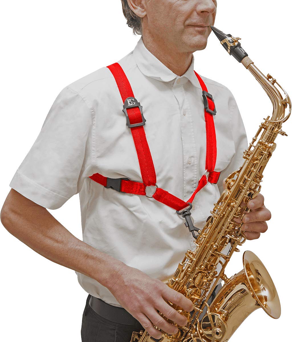 BG(0002698761) Accordion Accessory (ABG S439SH)
