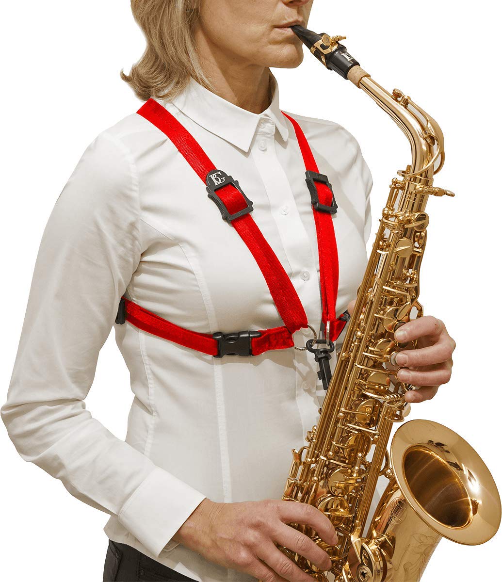 BG(0002698761) Accordion Accessory (ABG S419SH)