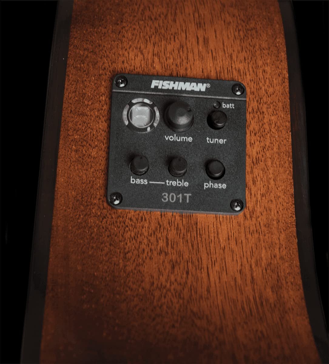 Washburn Woodline 10 Series 6 String Acoustic-Electric Guitar, Right, Natural (WLO12SE-O)