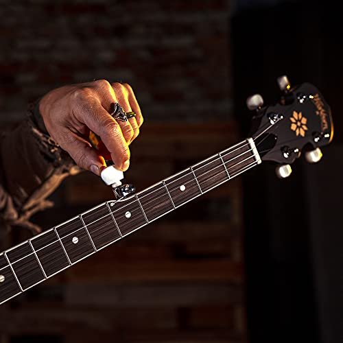 Washburn Banjo Series B7 Banjo, Nat