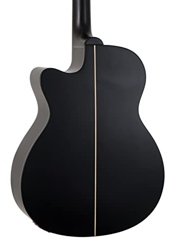 Washburn Electro Acoustic 6 String Guitar, Right, Striped Ebony (DFEACE)