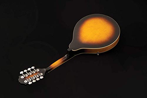 Washburn M1K A-Style Mandolin, Sun