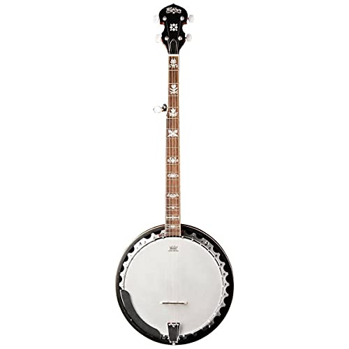 Washburn B10 5-String Banjo, Sunbur