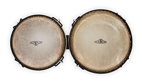 Latin Percussion Traditional Bongos