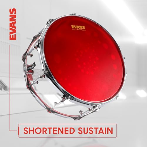 Evans Hydraulic Blue Drumhead