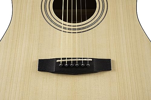 Cort Earth Series Dreadnought Acoustic Guitar Starter Pack. Open Pore