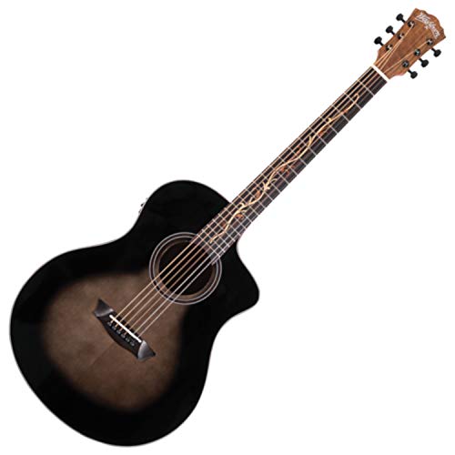 Washburn-Guitars