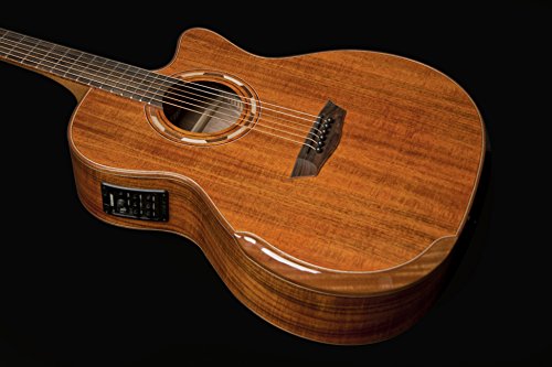 Washburn Comfort Series WCG55CE Aco