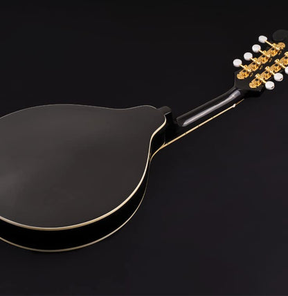 Washburn M1SDLB A-Style Mandolin (B
