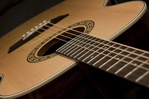 Washburn 6 String Acoustic Guitar