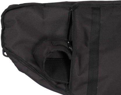 Oscar Schmidt Autoharp Gig Bag