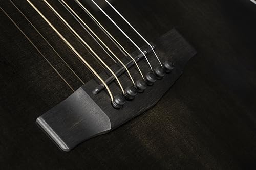 Cort Masterpiece Series Modern Black A/E Guitar With Case