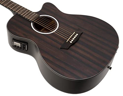 Washburn Electro Acoustic 6 String Guitar, Right, Striped Ebony (DFEACE)