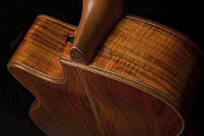 Washburn Comfort Series WCG55CE Aco
