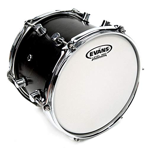 Evans Drum Heads - G2 Coated Tom Drumhead, 8 Inch