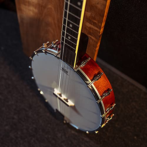 Washburn Banjo Series B7 Banjo, Nat