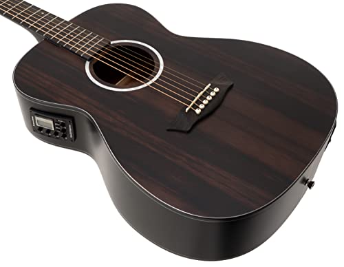 Washburn 6 String Acoustic-Electric Guitar, Right, Striped Ebony (DFEFE)