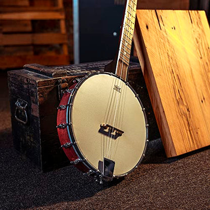 Washburn Banjo Series B7 Banjo, Nat