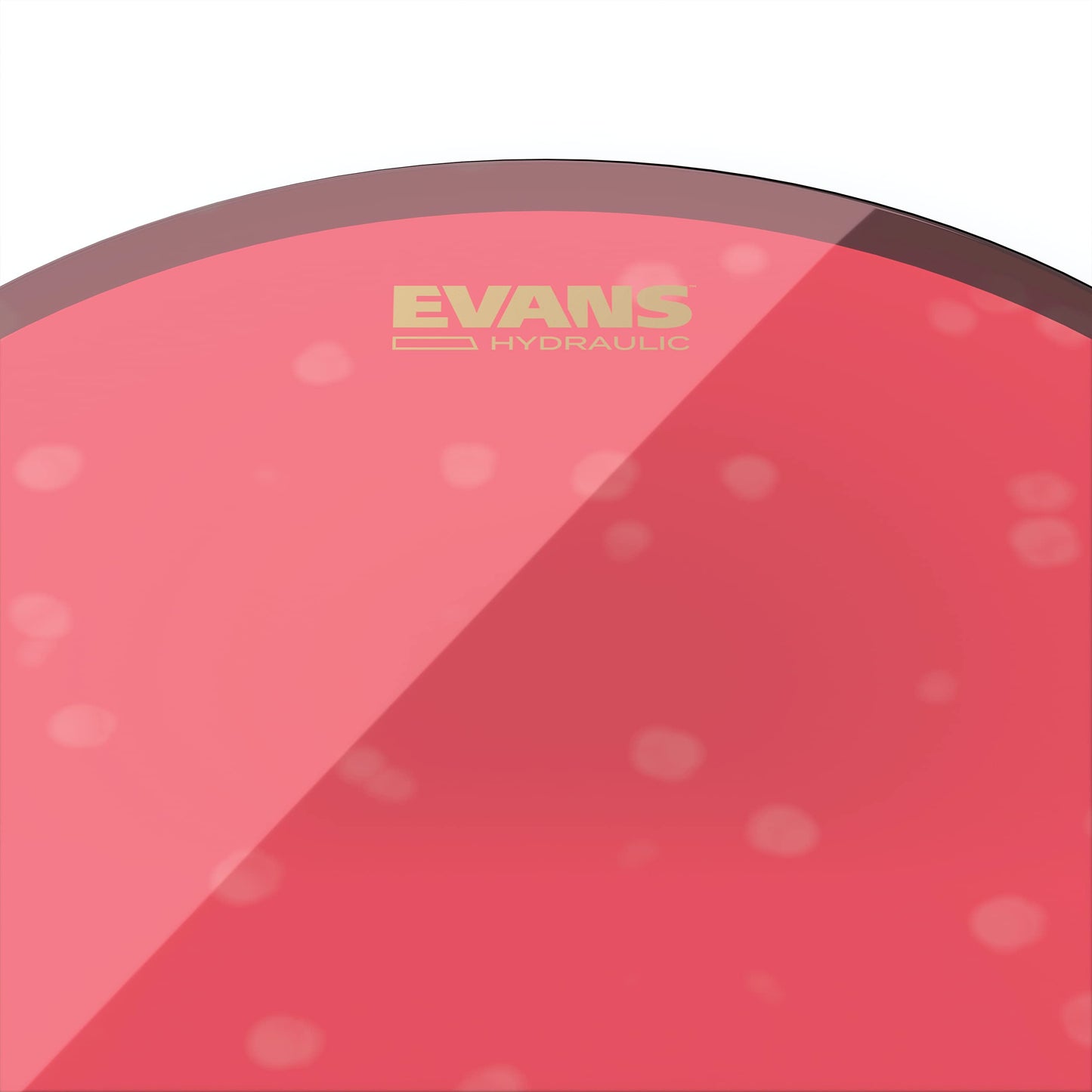 Evans Hydraulic Blue Drumhead