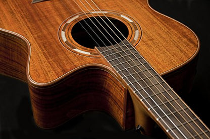 Washburn Comfort Series WCG55CE Aco