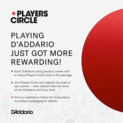 D'Addario Accessories PW-CT-9V DC Power Adapter – Minimize Need to Change Batteries on Pedalboard and Other Devices Requiring 9V – 500mA Max Current – Tip-Negative, Sleeve-Positive Power Supply