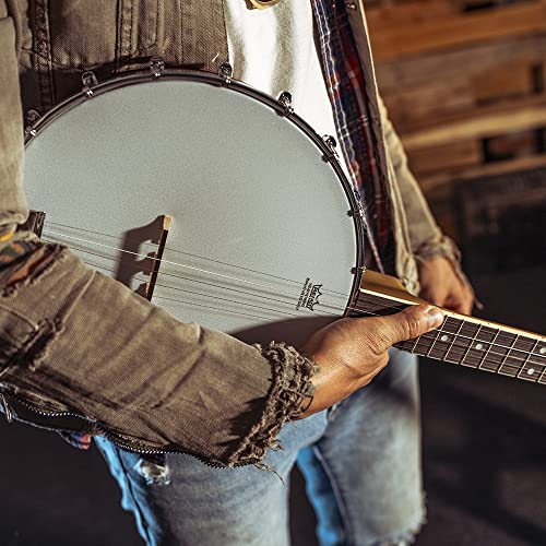Washburn Banjo Series B7 Banjo, Nat