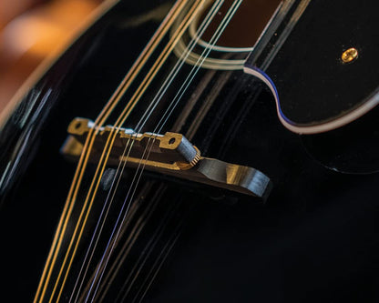 Washburn M1SDLB A-Style Mandolin (B
