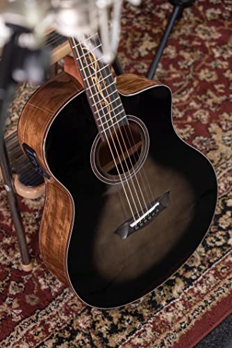 Washburn-Guitars