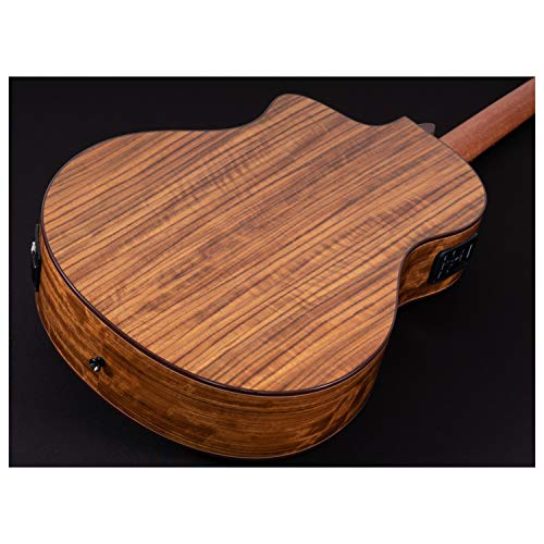 Washburn-Guitars